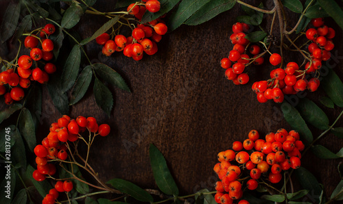 Принти на полотні Rowan berries on wooden boards