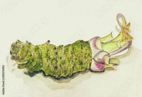 手描き　わさび　水彩画