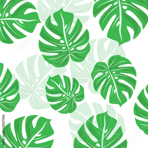 tropical leaf background