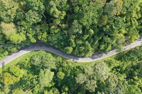 Road and bridge through mountain forest