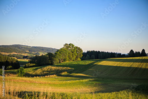 Sunny evening in the countryside