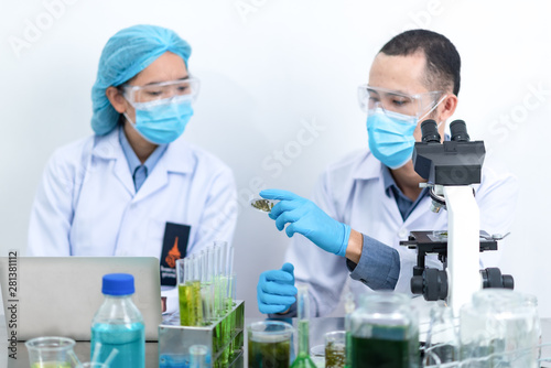 The scientist test the natu...