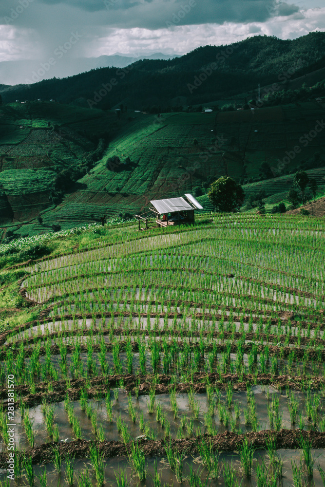 rice terraces rice terraces