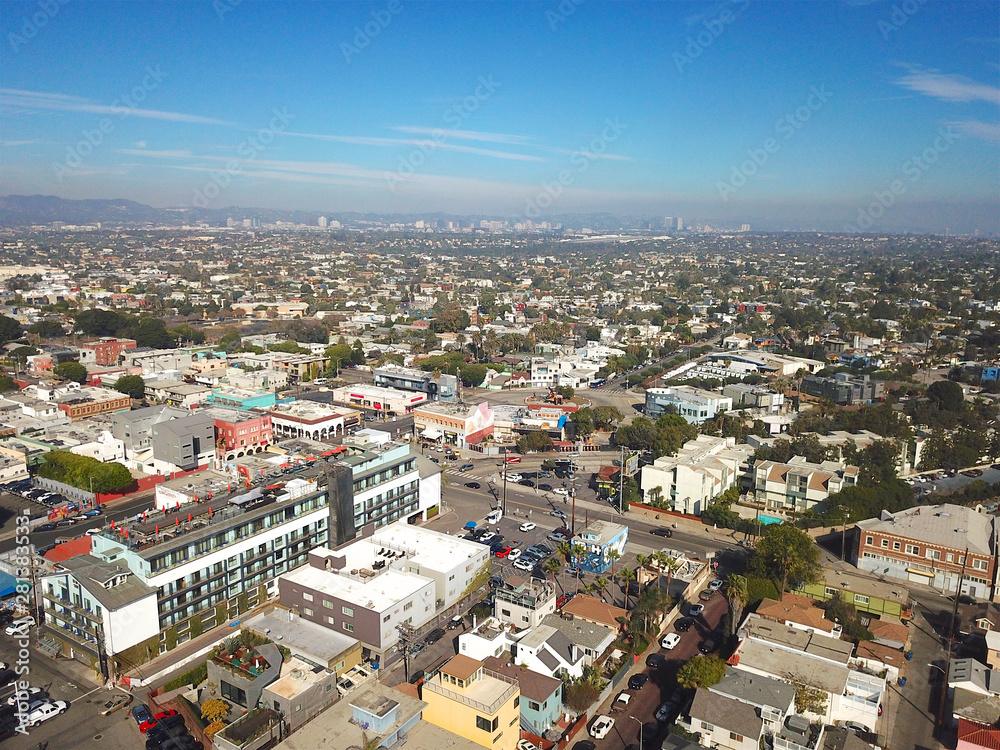 Aerial view of Venice Beach city, Los Angeles, California, USA.