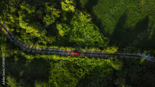 aerial view of green forest and field and red car goes on the road. bird's eye. travel concept
