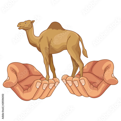 Hands hoding camel animal cartoon isolated
