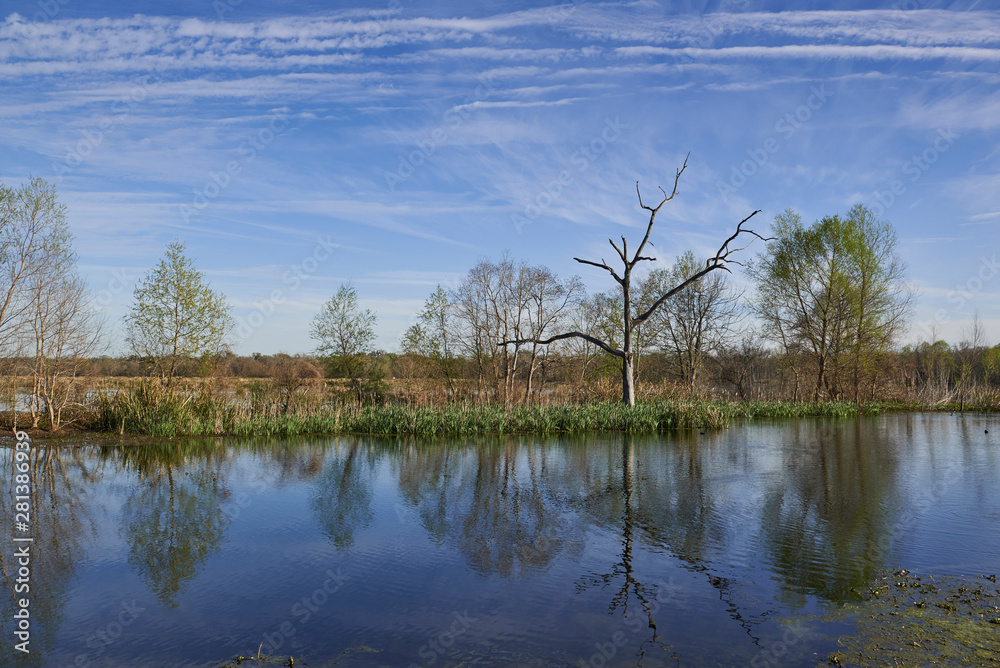 A late afternoon scene across one of the many lakes and waterways that lie within the Brazos Bend State Park in Texas.