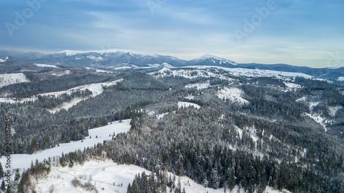 Aerial view of pine forest, from above. bird's eye, drone shot. amazing natural winter background © ver0nicka
