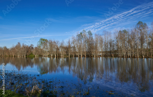 A peaceful picture looking across the calm water of a Lake to a line of Trees on the opposite bank, their branches being reflected in the calm water. © Julian