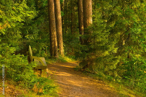 Europe, Lithuania, Vistytis regional park,  dusty road with wood bench photo