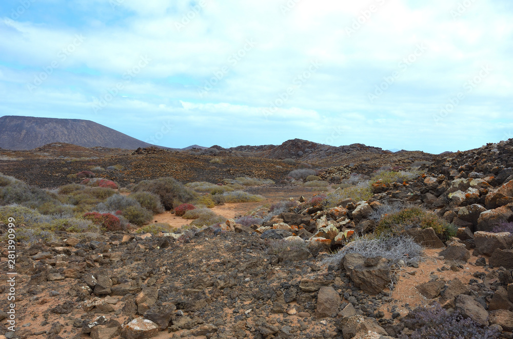 Desert Volcanic Landscape of Isla de Lobos in Canary Islands