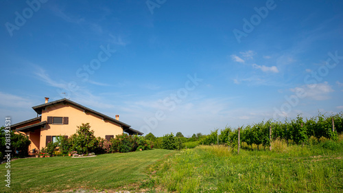 Vineyards of Oltrepo Pavese at spring
