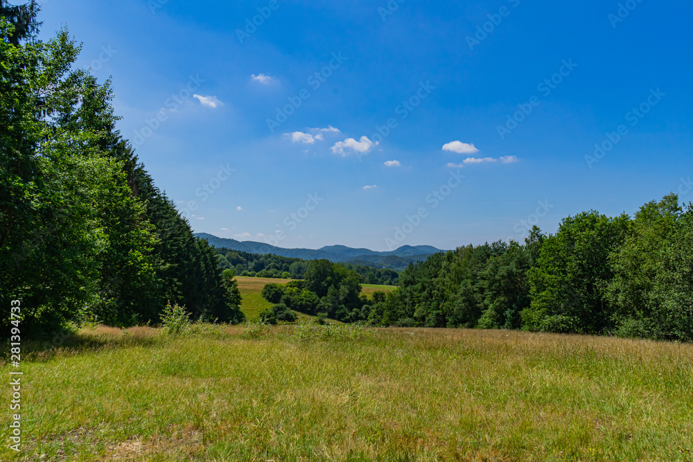 Landscape with meadows trees and hills