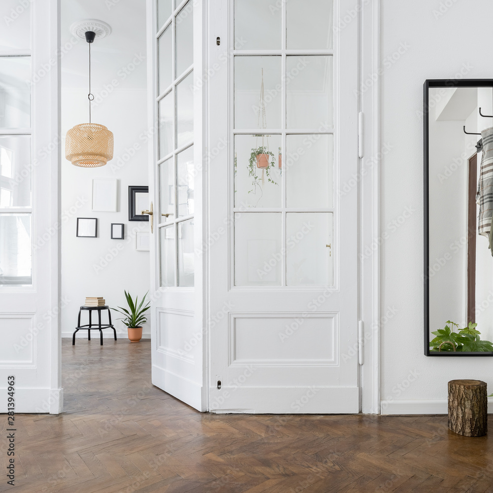 Interior with classic doors Interior with classic doors