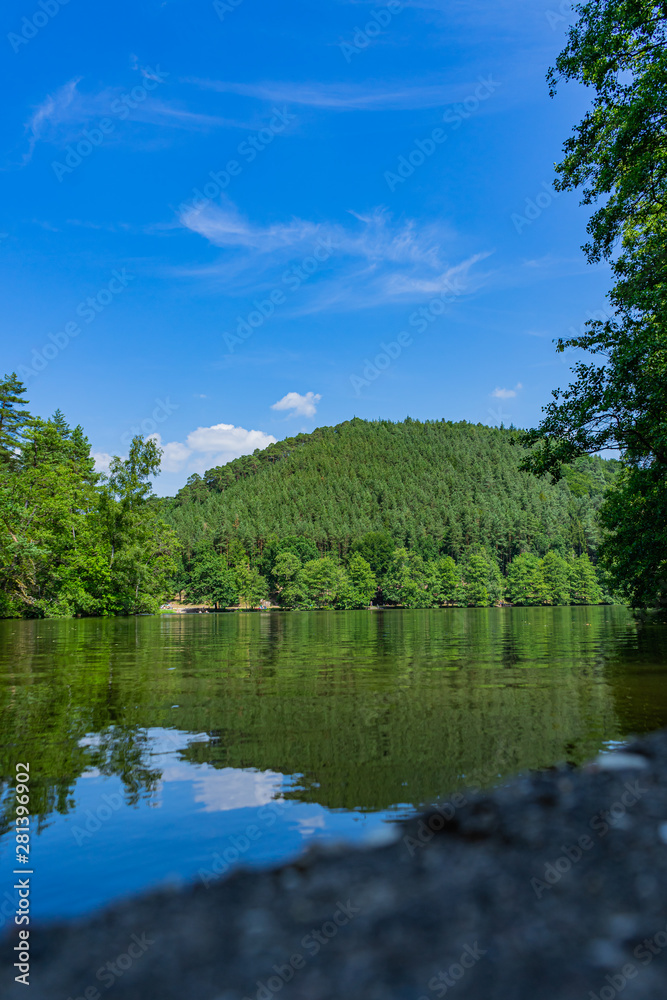 Lake surrounded by mountains and forests