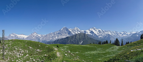 panoramic view of swiss alpine mountains and vegetation in summer with snow mountains in the background (Eiger, Moench and Jungfrau).