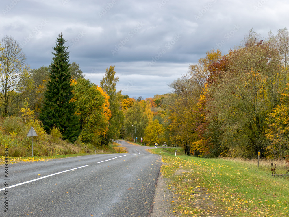 road with beautiful colorful trees at its edges