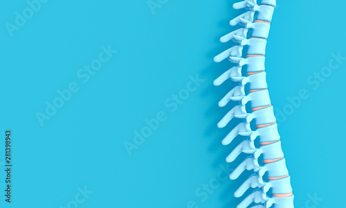 3d render image of a spine on a blue background. photo