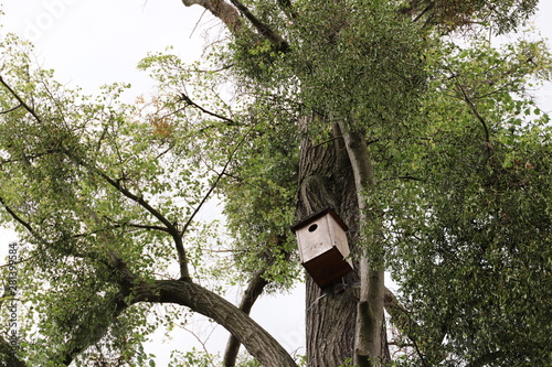 Nistkasten an einem Baum