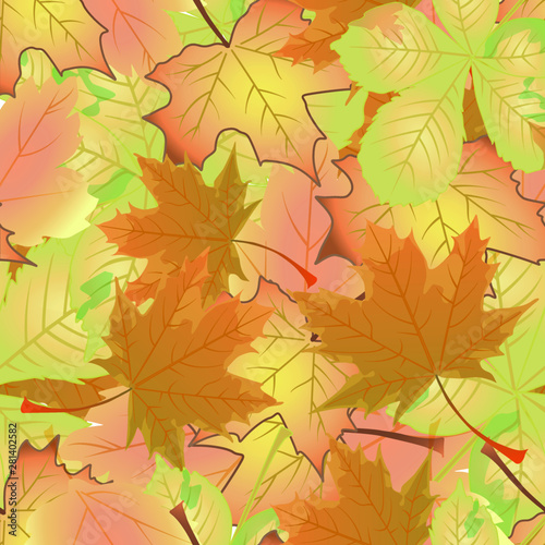 pattern leaves large autumn color background season maple chestnut maple