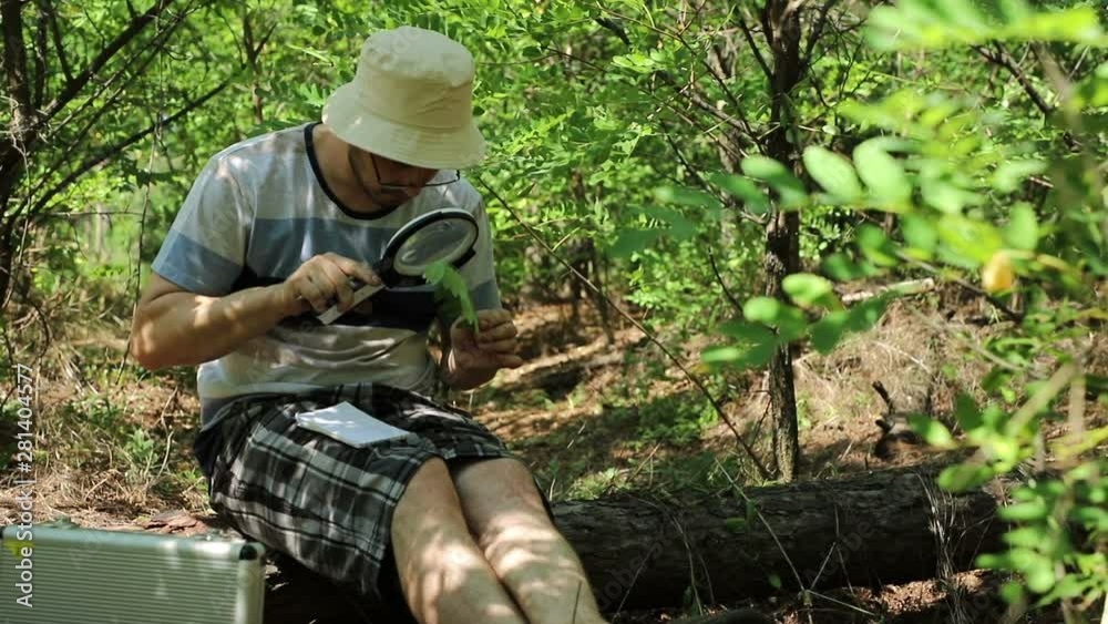Caucasian biologist studies a leaf of a plant with a magnifying glass and takes notes in his notebook, close-up Caucasian biologist studies a leaf of a plant with a magnifying glass and takes notes in his notebook, close-up
