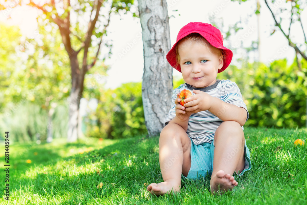 Portrait of happy Cute adorable toddler boy sitting on green grass and eating ripe juicy organic apple in fruit garden under trees. Funny caucasian blond child enjoying harvesting fruits in orchard Portrait of happy Cute adorable toddler boy sitting on green grass and eating ripe juicy organic apple in fruit garden under trees. Funny caucasian blond child enjoying harvesting fruits in orchard