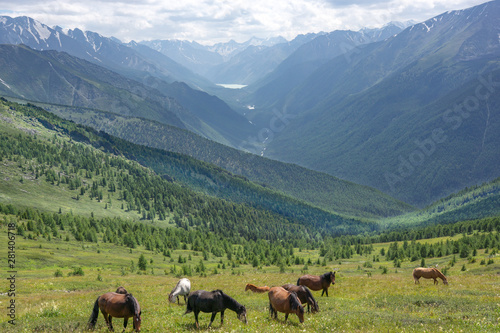 The nature in Altai Mountains © Aleksey