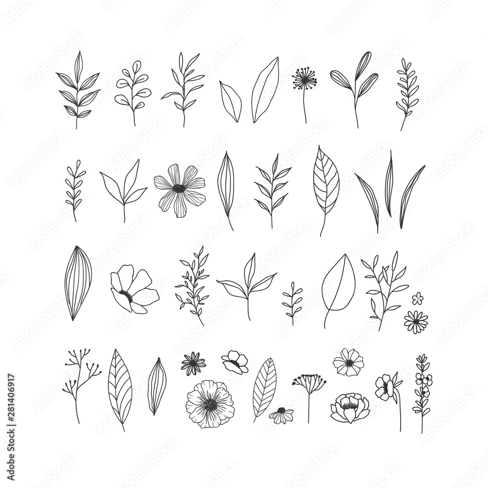 Fototapeta Ręcznie rysowane ilustracje kwiatowy kolekcja na białym tle