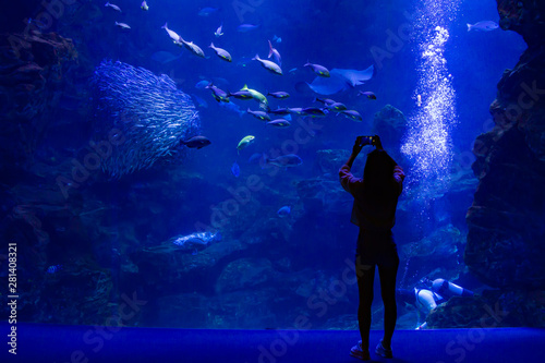水族館と人のシルエット