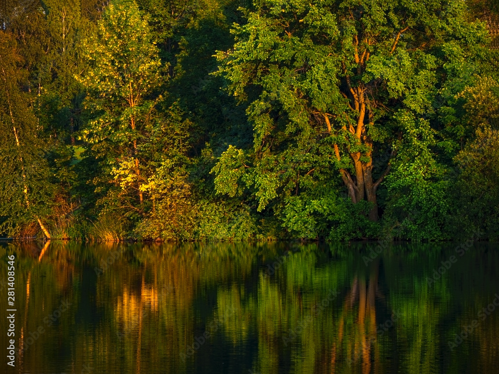 Fototapeta premium Trees are reflected in the water in early autumn