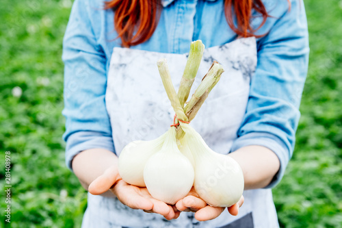 Bunch of onions in the hands of a woman farmer against the background of green foliage. The concept of ecological product, healthy nutrition and harvestr photo