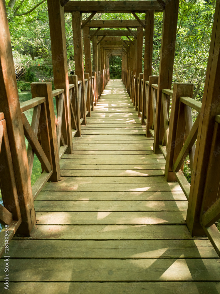 Old wooden bridge in the nature Old wooden bridge in the nature