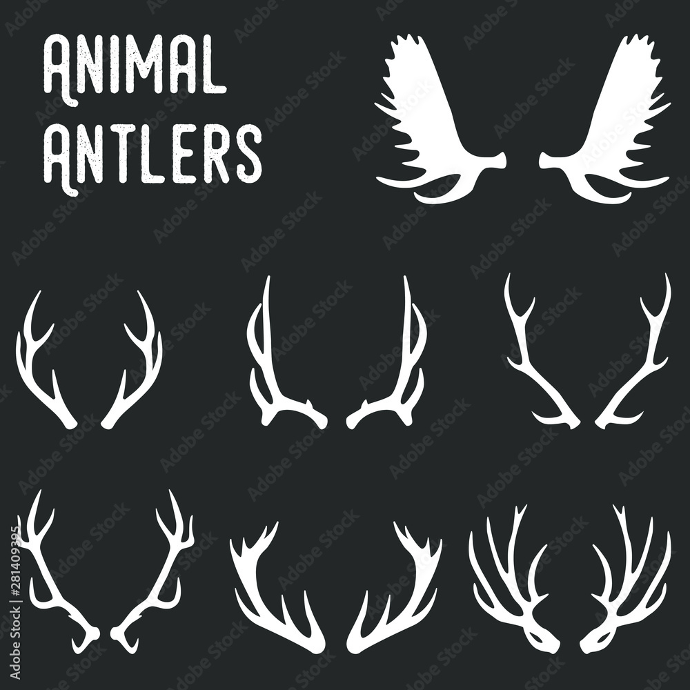 Obraz premium Deer antlers simple vintage vector set.