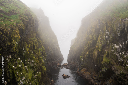 Foggy morning at Mykinesholmur hiking path above the fjord. Mykines, Faroe Islands.