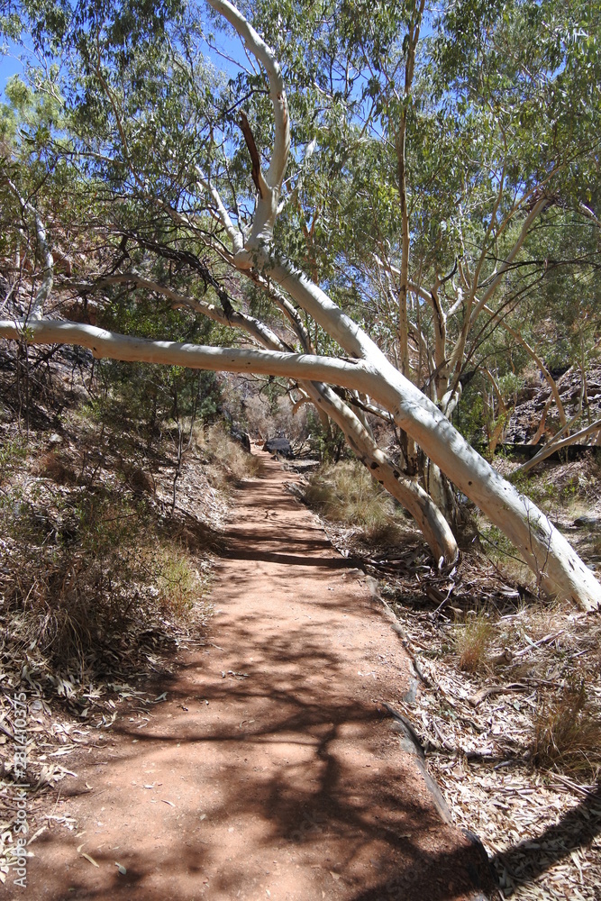 Der Weg zur Felslücke Standley Chasm in Australien Der Weg zur Felslücke Standley Chasm in Australien