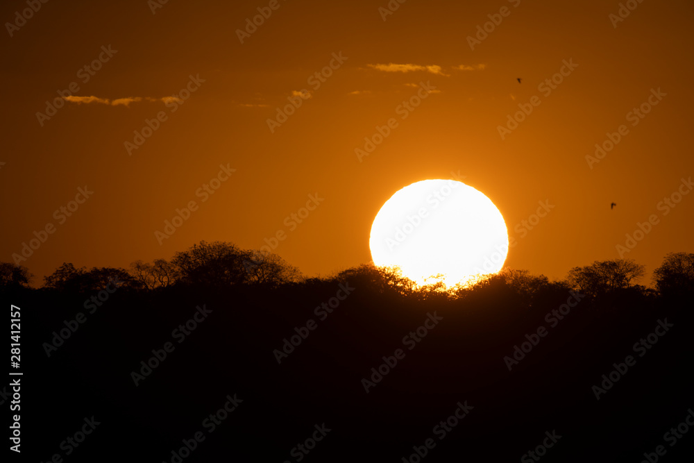 Zambezi Sunrise