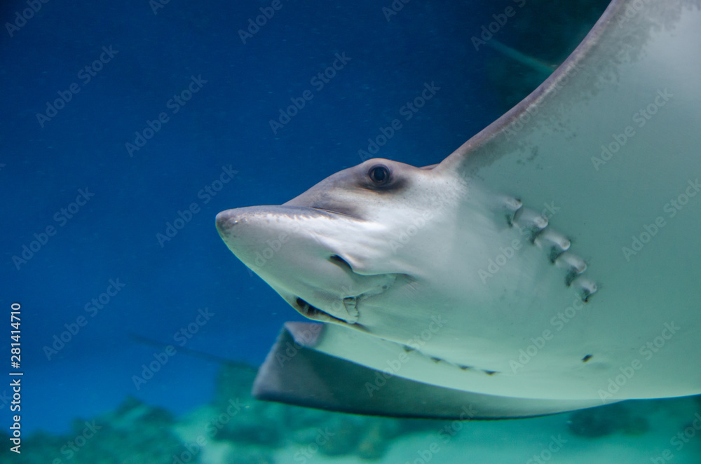 Fototapeta premium slope in sea