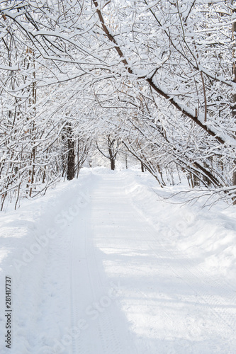 Road in winter forest © Aleksandr Ugorenkov