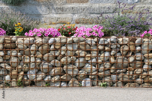 Moderner Steingarten, mit Lavendel und Petunien bepflanzte Gabionen