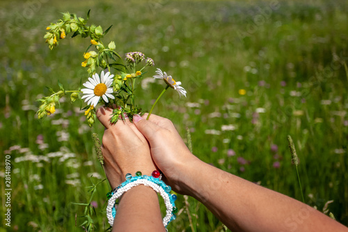 Bouquet of wild flowers in female hands on the background of a blurred green field. On hand dyeing bracelets. There is a place for text. Grass background blurred.