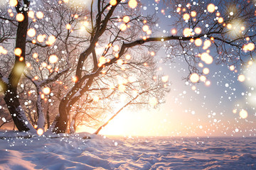 Christmas background. Magic glowing snowflakes in winter nature landscape. Beautiful winter scene with bokeh. Winter fairytale. Illuminated lights