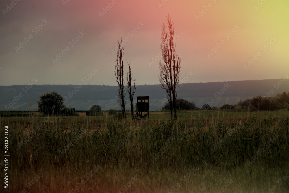 Landscape shot in the national park Neusiedler See in Illmitz Burgenland