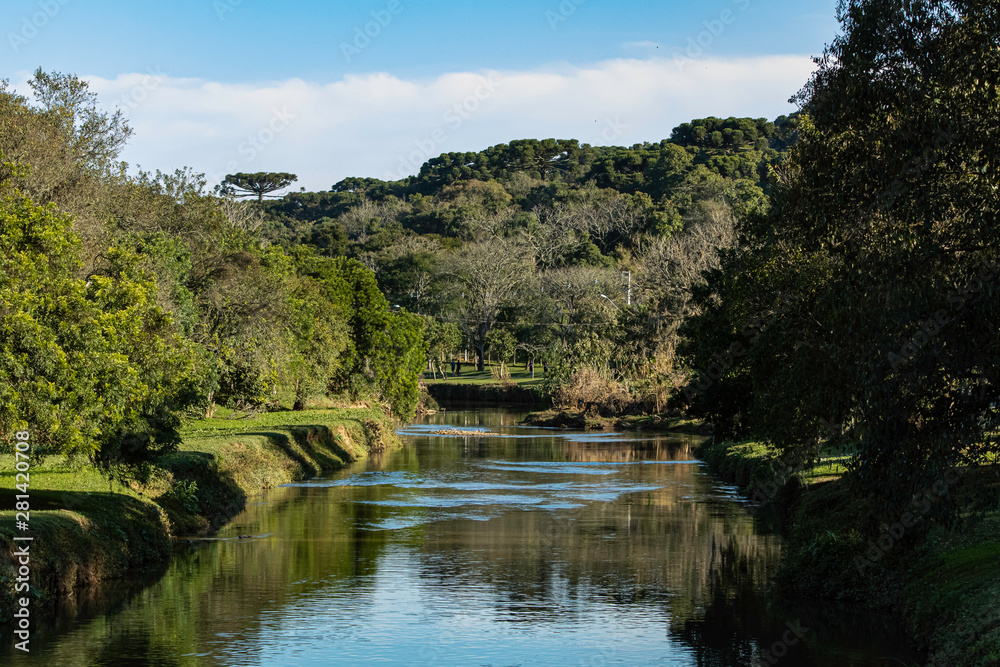 Creek running in the middle of a park