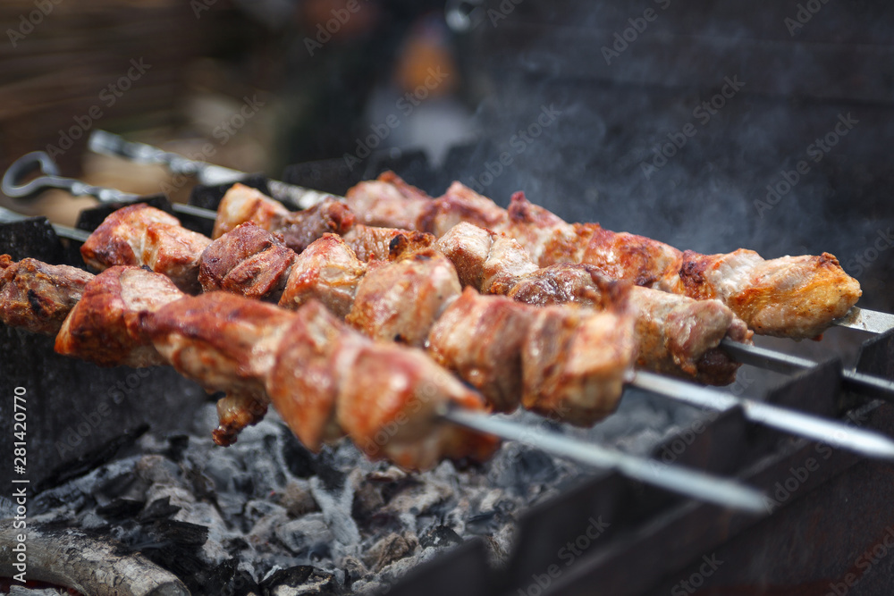 Close up selective focus fresh hot delicious bbq kebab grilling on open grill, food festival, outdoor kitchen, roasting on skewers, summer picnic, food-court