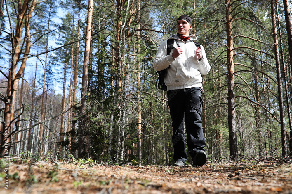 A man is a tourist in a pine forest with a backpack. A hiking trip through the forest. Pine reserve for tourist walks. A young man a hike in the spring. A man is a tourist in a pine forest with a backpack. A hiking trip through the forest. Pine reserve for tourist walks. A young man a hike in the spring.