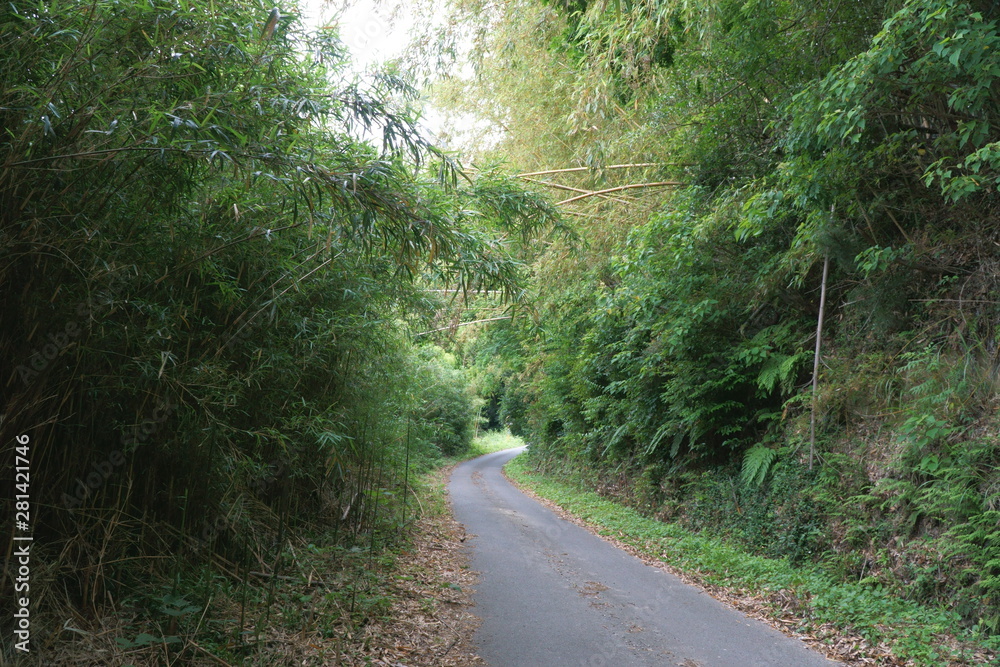 Obraz premium 田舎道