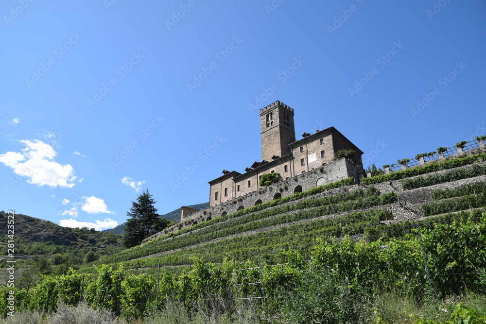 The evocative castle of Sarre and its estate estate cultivated with vineyards - Italy