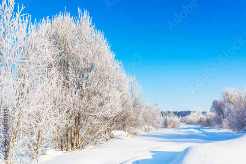 Winter road landscape with white frozen trees