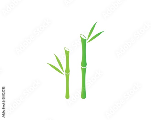  Bamboo with green leaf vector icon template