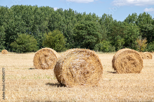 Fotografie Meules de paille